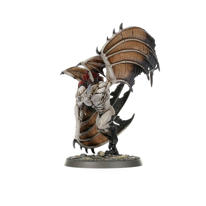 Spearhead: Soulblight Gravelords 2024 - WH Age of Sigmar